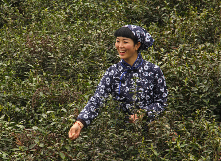 17间房主播跳舞 电影3